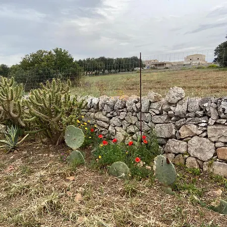 Rifugio Tra Gli Ulivi * Marina di Ragusa