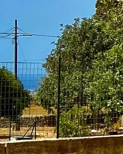 Rifugio Tra Gli Ulivi Casa vacanze Marina di Ragusa