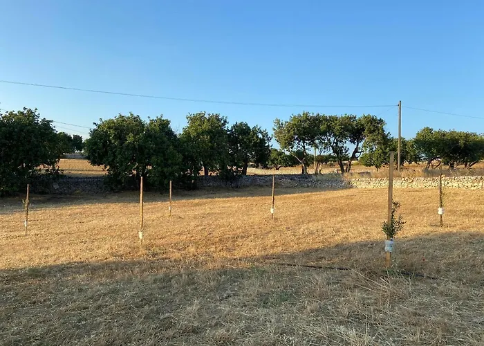 Casa vacanze Rifugio Tra Gli Ulivi Marina di Ragusa
