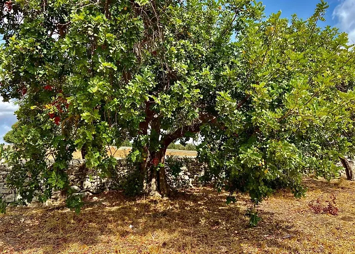 Rifugio Tra Gli Ulivi * Marina di Ragusa